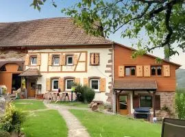 Maison pittoresque à Sainte-Croix-aux-Mines, vue sur la montagne