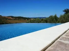 Villa W Infinty Pool Villa in the Heart of Chianti