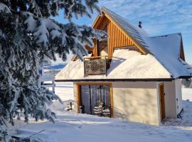 Domek Pod Laskiem, hotel v destinaci Czerwienne