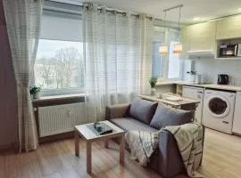 Scandinavian Saga in the heart of the city