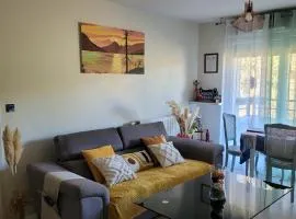 Appartement pechDavid SUD