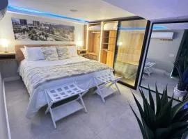 Luxury Apartment Jacuzzi Air Conditioning Fireplace and King Bed