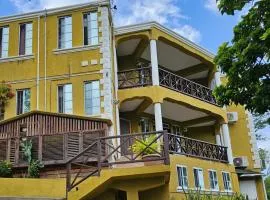 Spacious 1 Bedroom Apartment Near SGU - Prime Location #2
