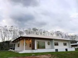 Japanese-inspired minimalistic house