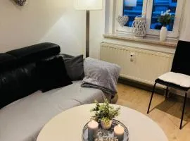 moderne Ferienwohnung am Stadtwald von Plauen