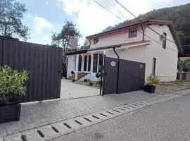Vila Amadark