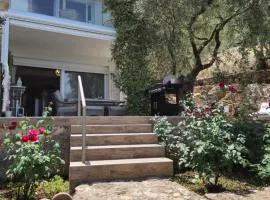 Villa Anemona