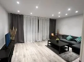 3 Zimmer Wohnung Friedrich Ebert Straße