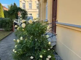 Altstadt Quartier