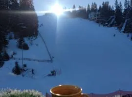 Apartman Royal Vlašić
