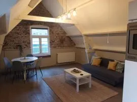 attic apartment in the center