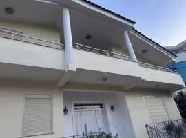 Villa e Verdhe Elbasan, Albania