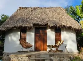 Cabaña Los Gallitos Ecolodge
