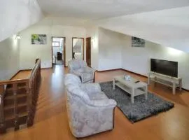 Spacious house in Santa Maria da Feira - 220 m² with city view