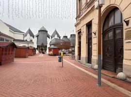 Hargita Apartman, acomoda&ccedil;&atilde;o com onsen em Mak&oacute;