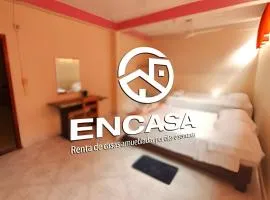 Encasa - Palm 206