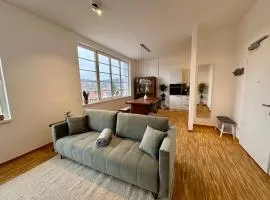 Loft Meinbrunn II