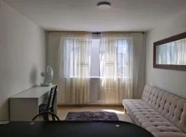 Montezuma living 307