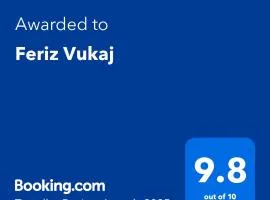 Feriz Vukaj