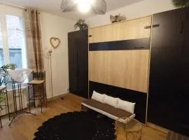 Agréable studio proche Paris et Porte de Versailles