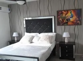 Deluxe One Bedroom Apartment in Kingston