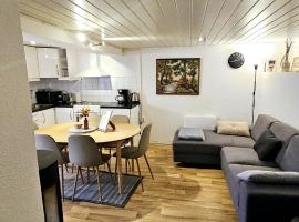 Central and Large cosey apartment