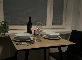 Modern one-bedroom apartment in the heart of the city