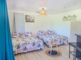 Maharepa rh LODGE、マハレパのアパートメント