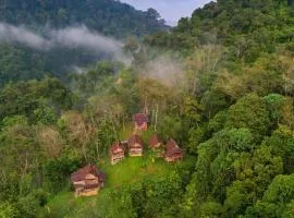 ORANGUTANTREKSUMATRA & LOVELY JUNGLE LODGE only book IF you are treking with us