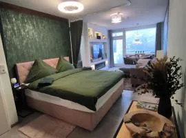 Harz High End Fewo Nicholas 4 Sterne DTV
