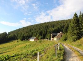 Idyllische Almhütte am Gaberl, hotel v destinaci Kleinlobming