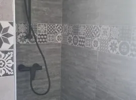 CASA Violeta