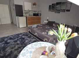 Niyaz apartment, hotel ve Varšavě