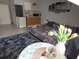 Niyaz apartment