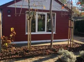 Eekhoorn, vakantiehuis met barrelsauna