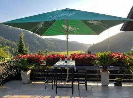 Sonnige Ferienwohnung im Kinzigtal