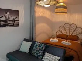 Charmant studio au coeur de la ville