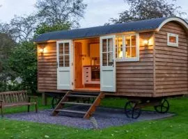 Shepherds Hut at Snowdon Farm