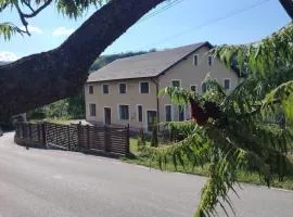 Casa MonyBeea