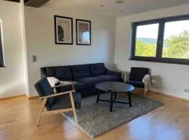 Sonnendurchflutetes Penthouse