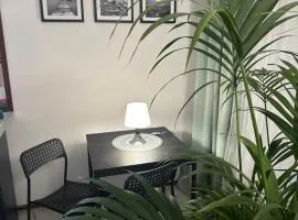 Vista 5