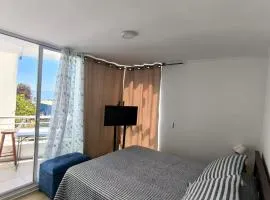 Depto Estudio con hermosa vista al mar