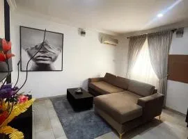 Modern 1BR Apartment Near Airport - 247 Power, Free Wifi
