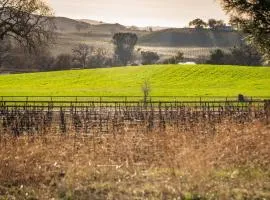 Hacienda in Solitude Vineyard