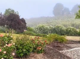 Vista Vine Cottage