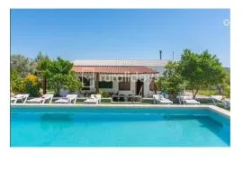 Villa Dehesa Olive