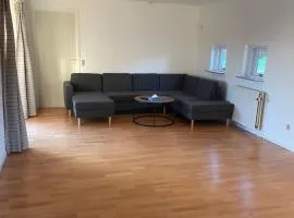 Joy house