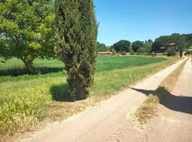 Tenuta Vallenoci