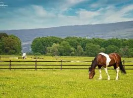 Letchworth Farm Guesthouses