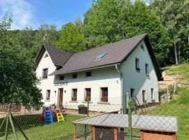 Serene Family Mansion in Starkov s Hills
